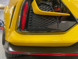 Honda FK8 Civic Type-R / CTR CARBON FIBER ROCK GUARDZ