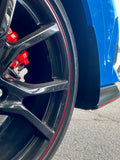 Honda FK8 Civic Type-R / CTR CARBON FIBER ROCK GUARDZ