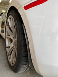 Audi R8 Gen1 Carbon Fiber Rock Guardz (set of 4)