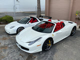 Ferrari 458 Carbon Fiber Rock Guardz